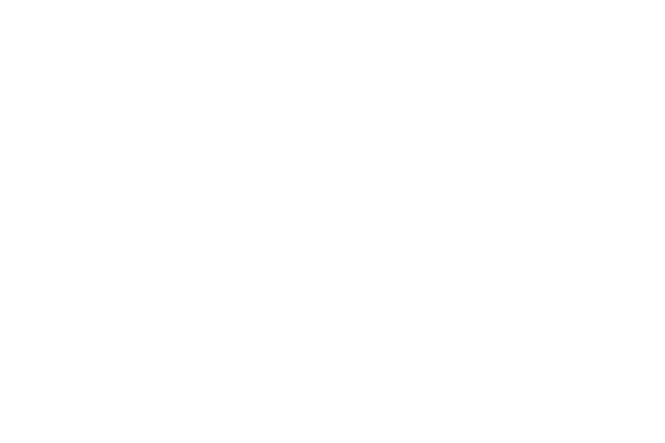 Healy Lawn Care logo